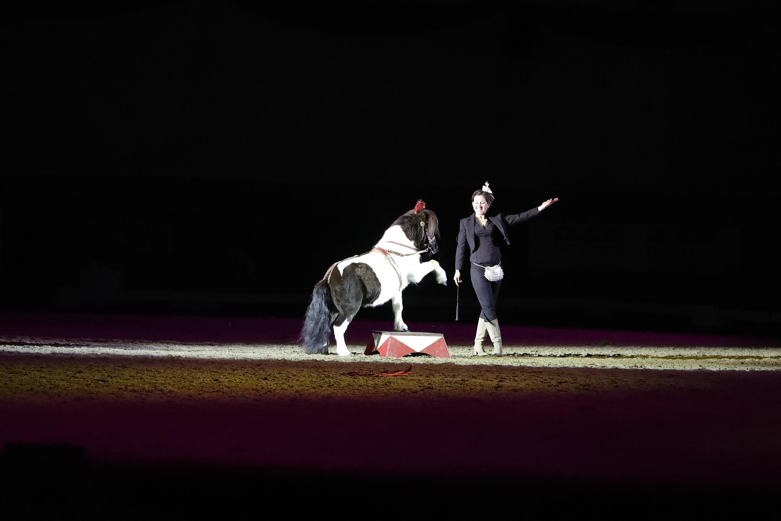 Naff Winter Dressage Champs