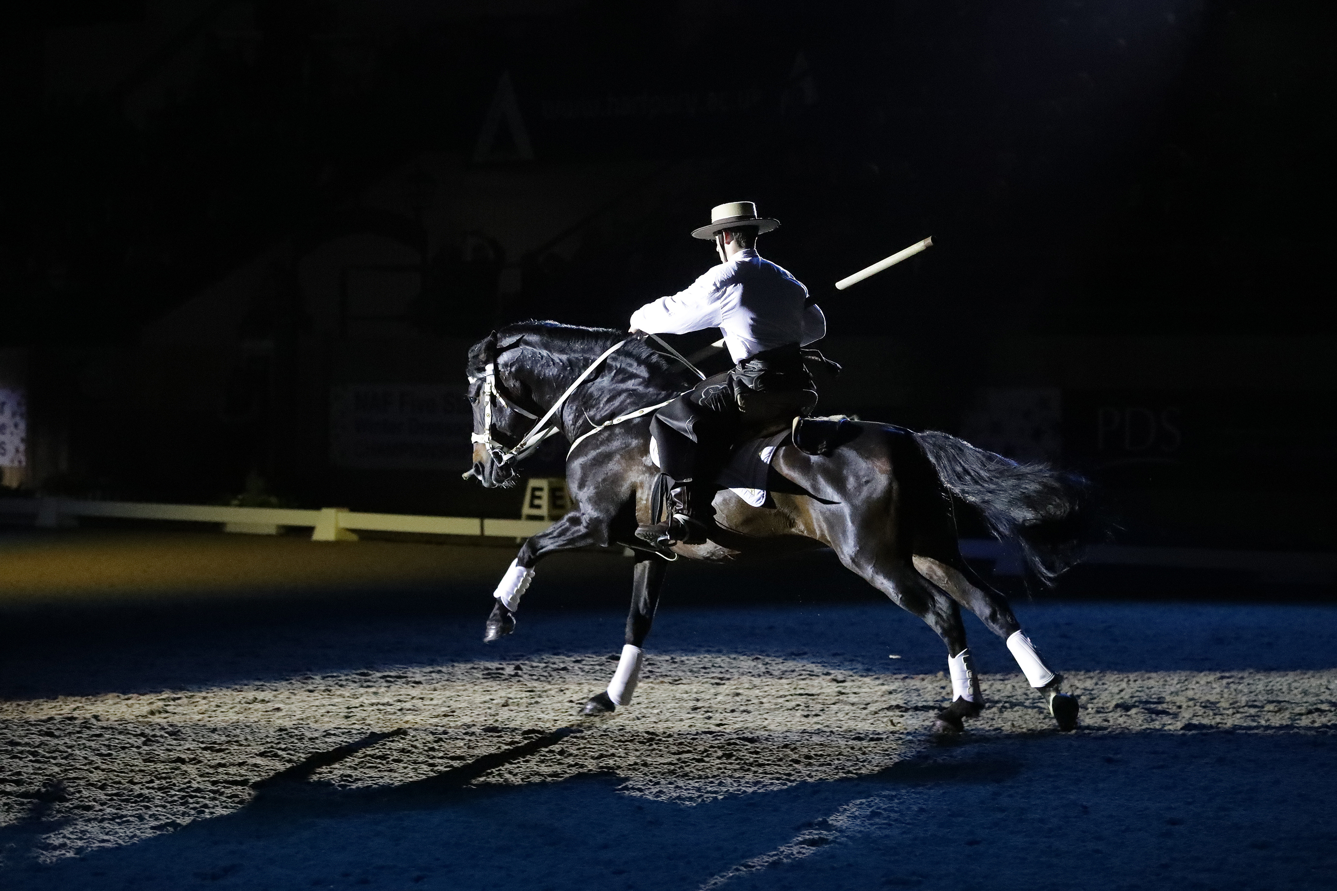 Naff Winter Dressage Champs