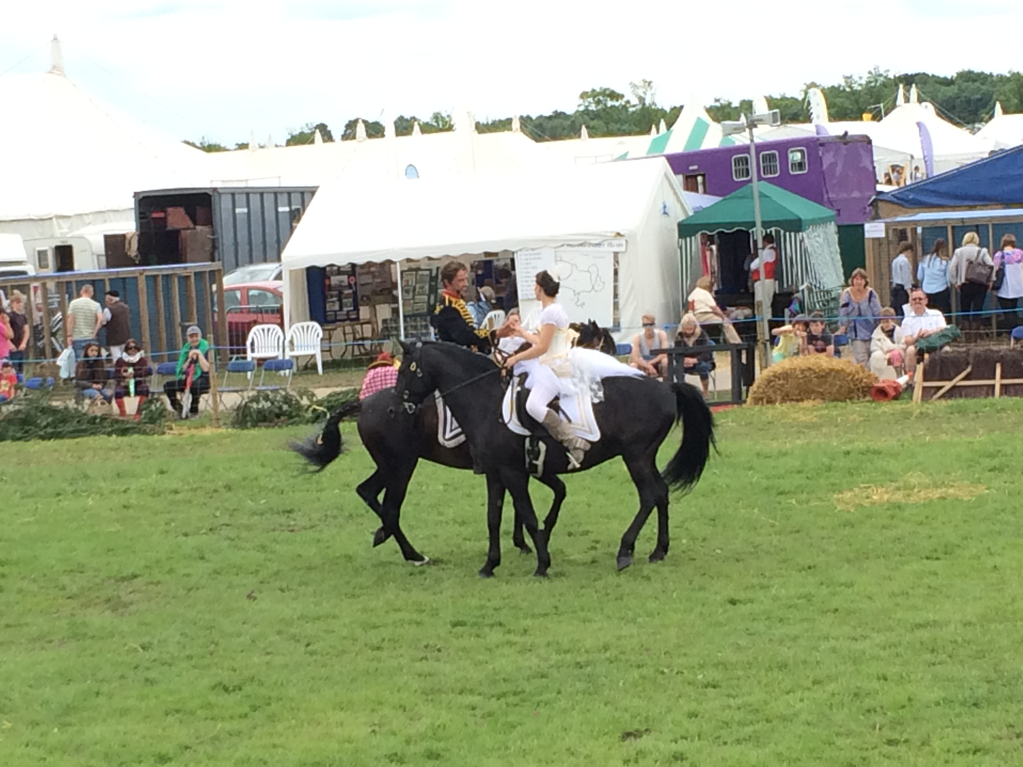 Olivants Equine Displays