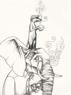 Morning on the Sarengeti