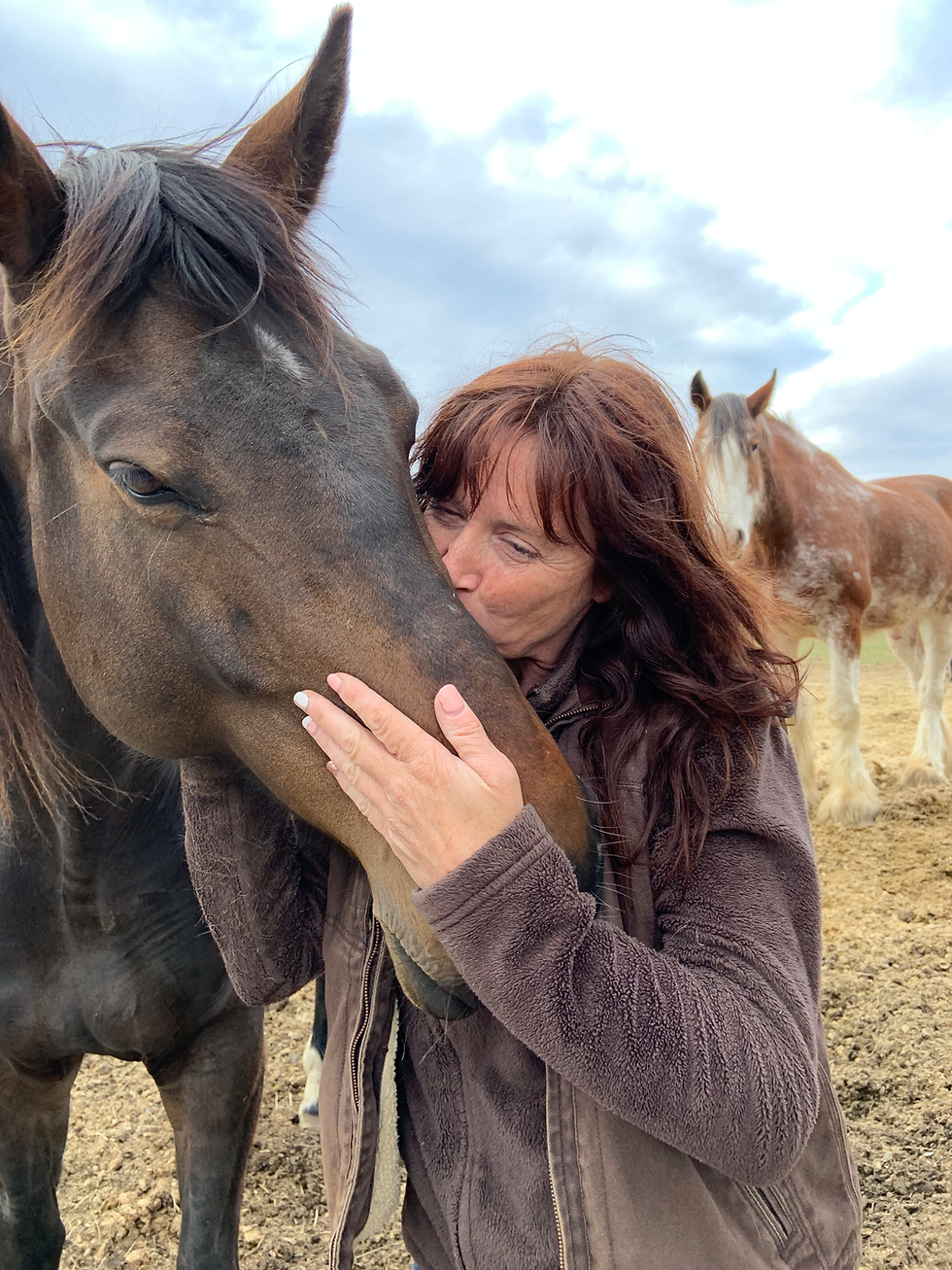 🐴 One Bite at a Time: A Horse’s Lesson in Dissolving Overwhelm