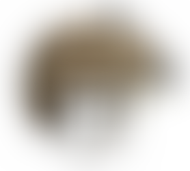 Casque balistique tactique nij 3A