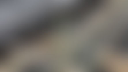 Canurta Expands Operations, Secures Trademark, and Advances Cancer Research on Global Stages