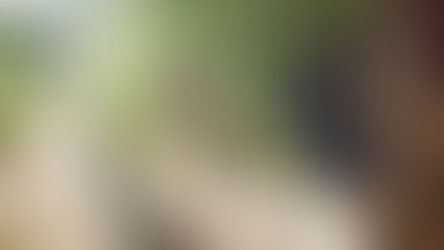 Innovating Plant Flavonoid Production