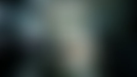 Biosynthesis of Cannflavins A and B from Specialized Botanical Systems