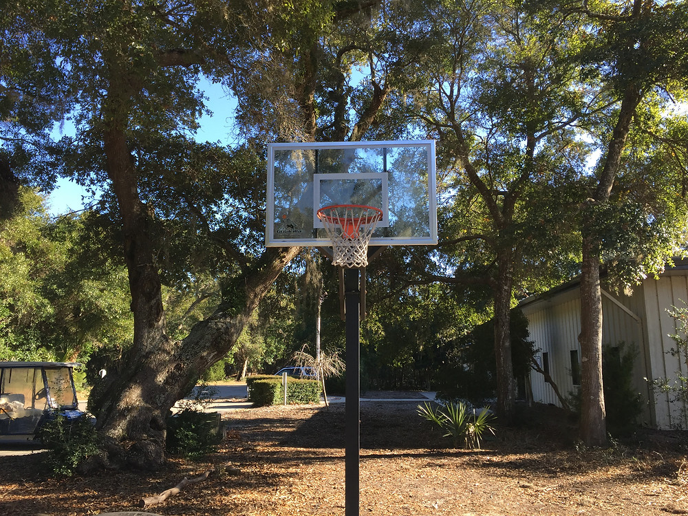 Great Day of Basketball