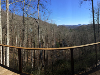 Gratitude from Asheville, NC