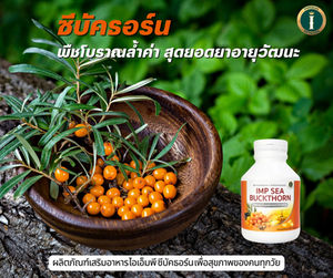 ซีบัคธอร์น🧡 พืชโบราณล้ำค่า #สุดยอดยาอายุวัฒนะ กับตำนานการใช้ดูแลสุขภาพหลายพันปี