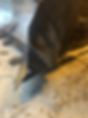 demo loader.png