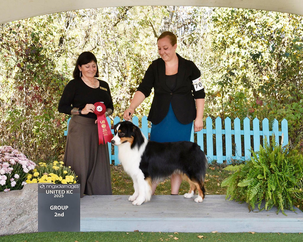 558408470_1229132882579766_8365021011482591148_n