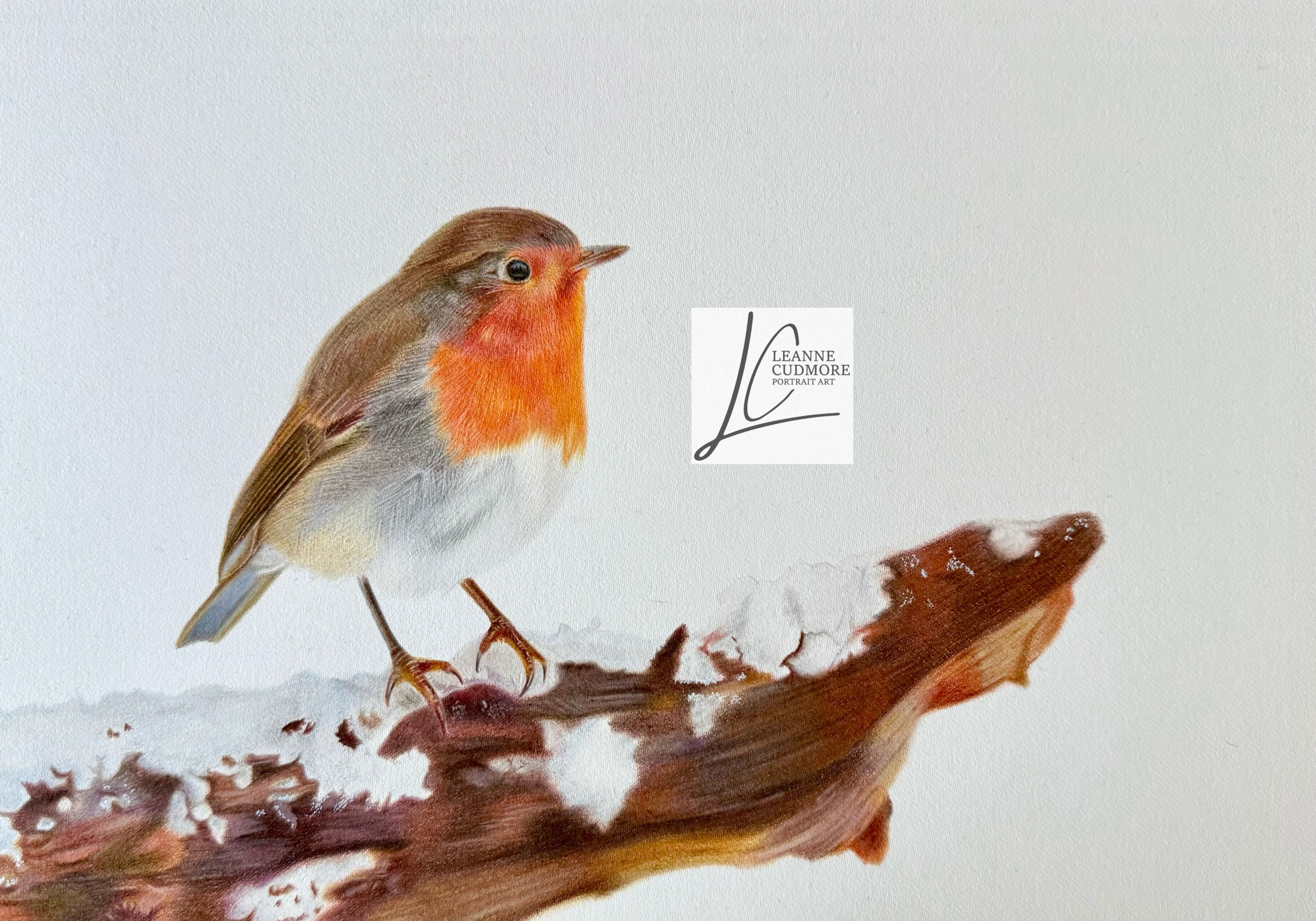 robin on a snowy branch drawn in coloured pencil on white paper