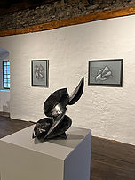 IMG_5059kl.jpg
