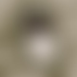 Let's Talk About Audiobooks