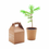 Thumbnail: plant pot with pine seeds