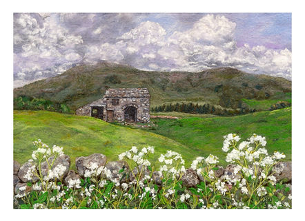 Wensleydale Cow Parsley and a Barn in the dales
