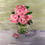 Thumbnail: Pink Peonies