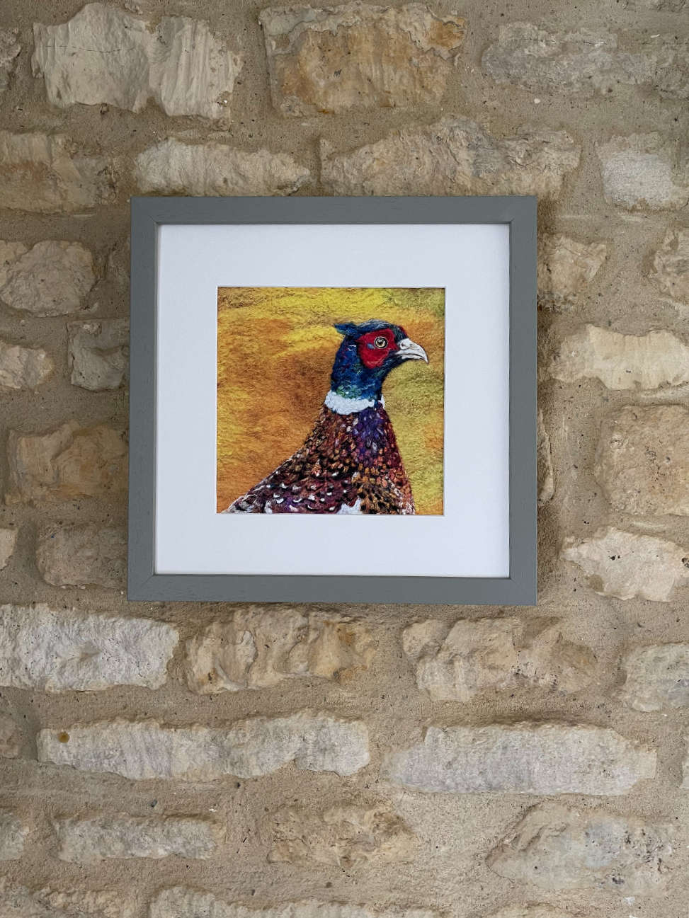 Thumbnail: Mr Pheasant