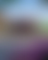 Mackinac Island Lilac Festival Poster Entry