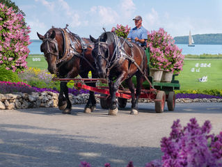 Mackinac Island Lilac Festival Poster Entry