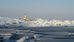 Great Lakes Ice