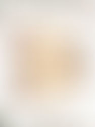 December 2025 Carvery Buffet