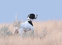 _DSC6899-Edit copy.jpg