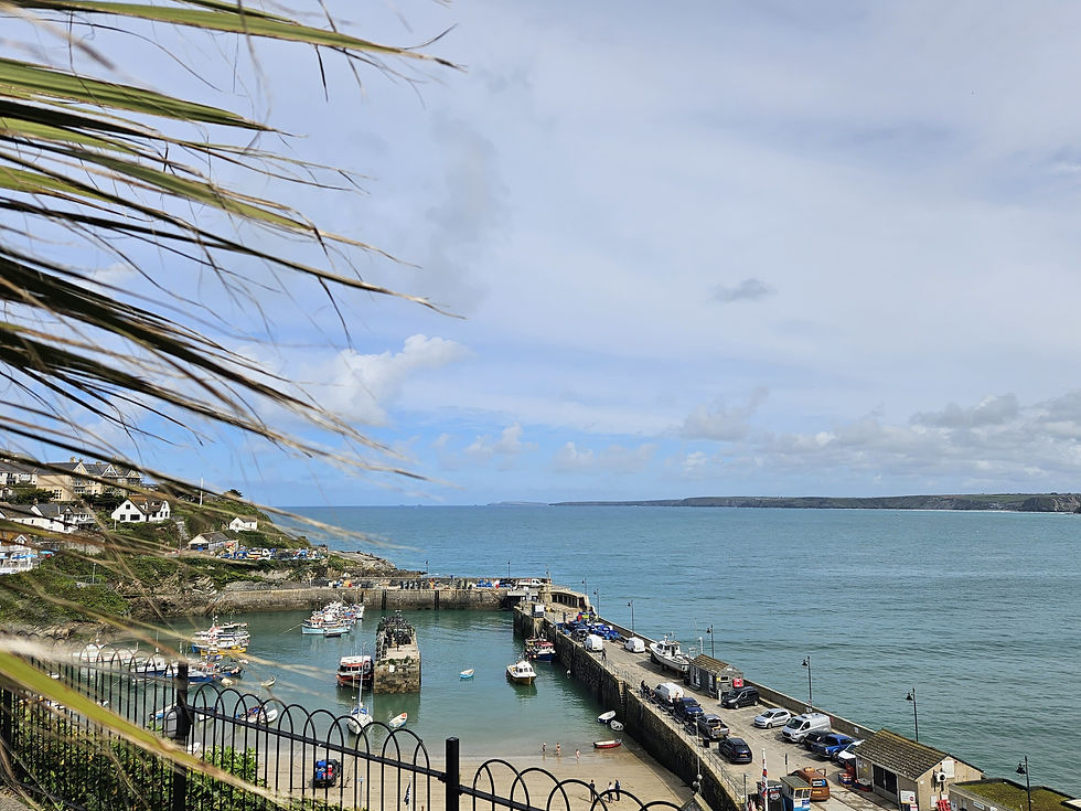 Boat trips from Newquay Harbour
