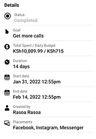 Rasoa.co's Analytics for a social media campaign