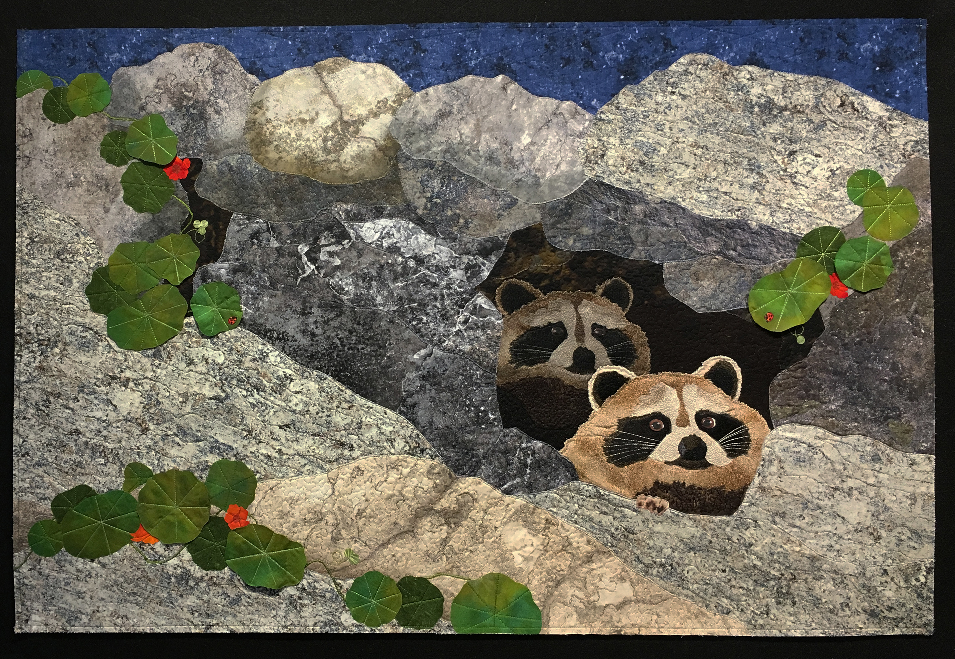 Rascal Raccoons