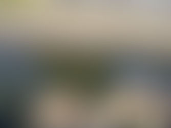 熊本城界隈の探索