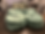 2BE8389A-ECA9-4DAC-AF4D-6DC4F8A1E945.jpeg
