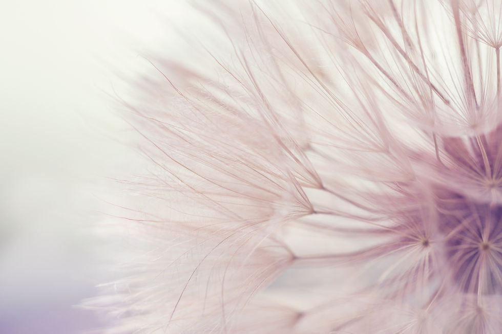 AdobeStock_180765368.jpeg