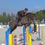 Thumbnail: 4 Year Old Gelding by Untouchable x Libero H (Hunter/EQ)