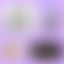 軽貨物車両の黒ナンバーを取得するには?費用や必要書類をご紹介