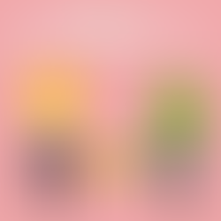 軽貨物ドライバー必見!本当に使えるマッチングサービスはこれだ