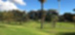 oval_self_1_edited_edited_edited.jpg