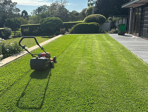 Life cycle gardening performing lawn mowing in Sydney