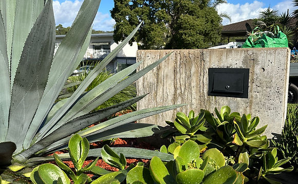 This image is an after shot of some garden maintenance work performed in Sydney