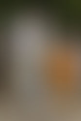 แฟชั่นย้อนกลับ Balenciaga SPRING 2018 MENSWEAR