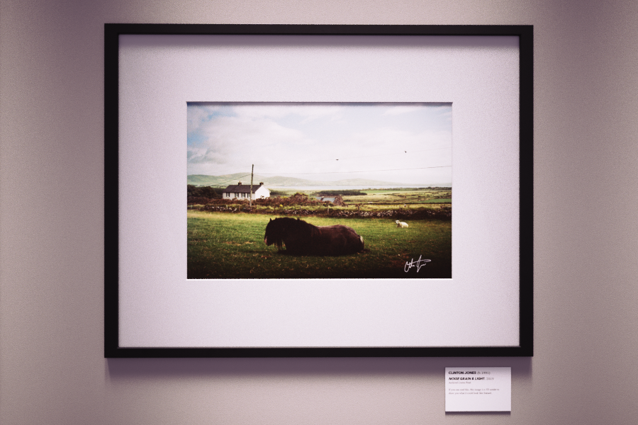 Thumbnail: Summer Nap, Dingle, Ireland