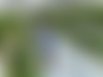 いちご狩り🍓体育館遊び🏐陶芸絵付け