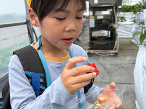 いちご狩り🍓