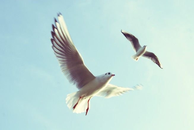 5 Dinge, die du sofort aussortieren kannst | 5 Things To Toss Right Now