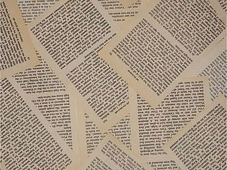 WhatsApp Image 2026-02-28 at 9.10.40 AM.jpeg