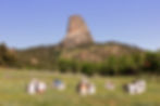 Devils Tower Yard