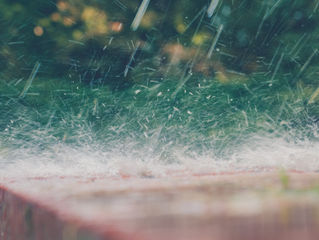 How the Weather Can Affect Your Roof