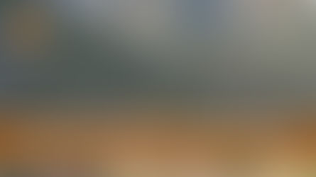 Your Life Is Not A Data Point: What trail running quietly taught me about paying attention