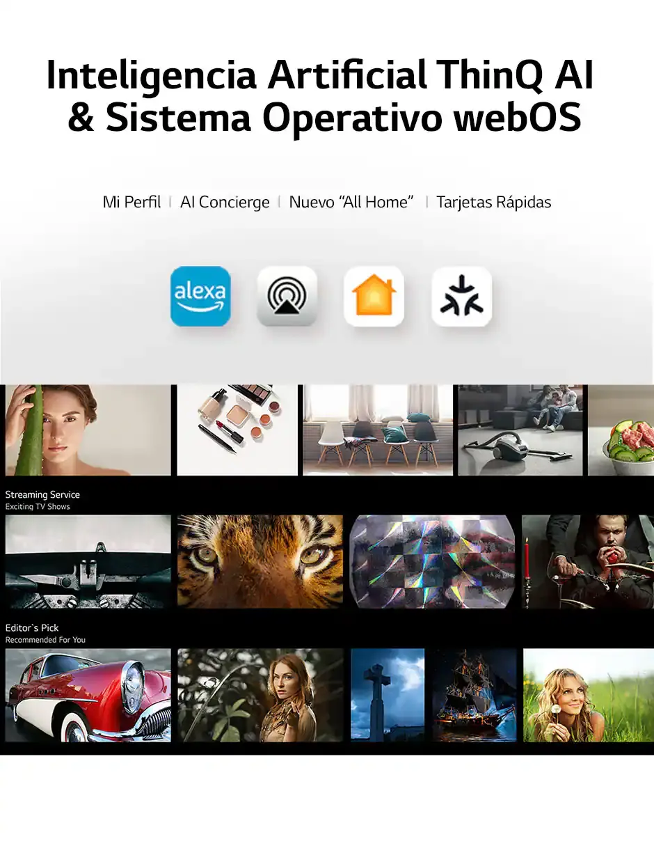 Miniatura: LG

Pantalla Smart TV LED de 55 pulgadas 4K/UHD 55UR7800PSB

Código de Producto: