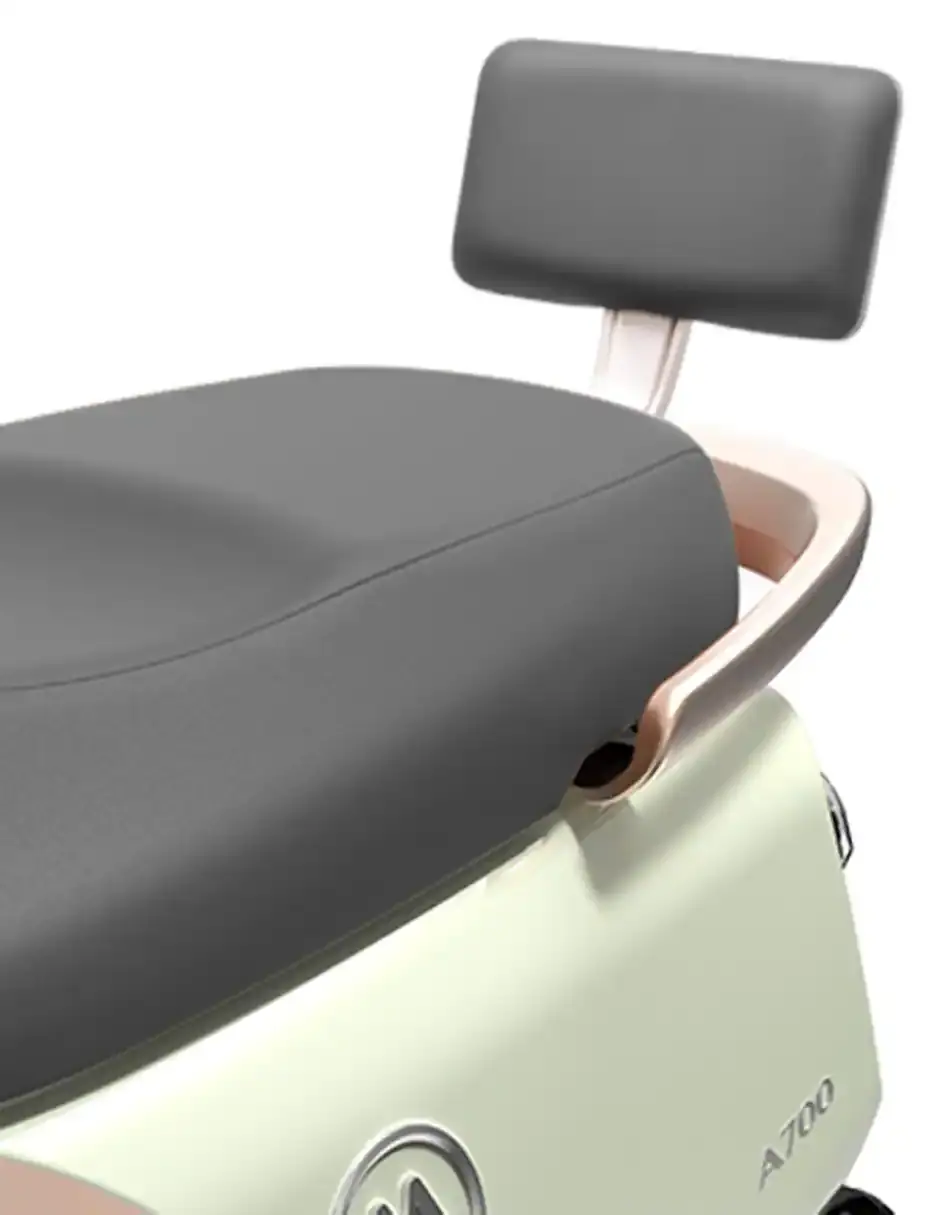 Miniatura: AIMA

Motocicleta eléctrica A700 2024