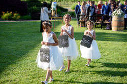 Santa Rosa, Sonoma County